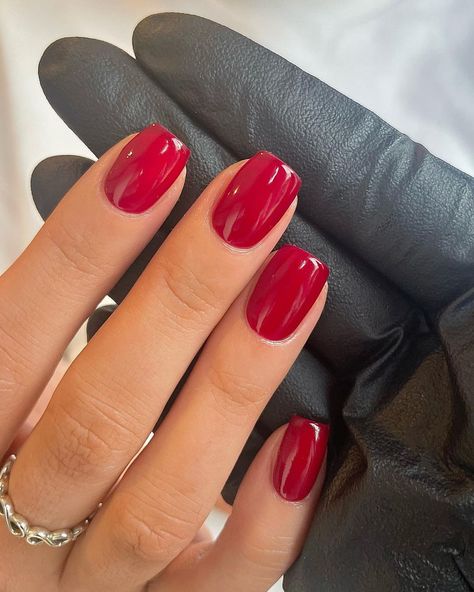A night at the opera ❤️ a beautiful deep red. Applied using the NO.6 SQUARE BRUSH by @biosculpturegelgb Cuticle care by… | Instagram Ongles, Belle Nails, Uñas, Cute Nails, Uñas Decoradas, Pretty Nails, Garra, Short Red Nails, Red Nails