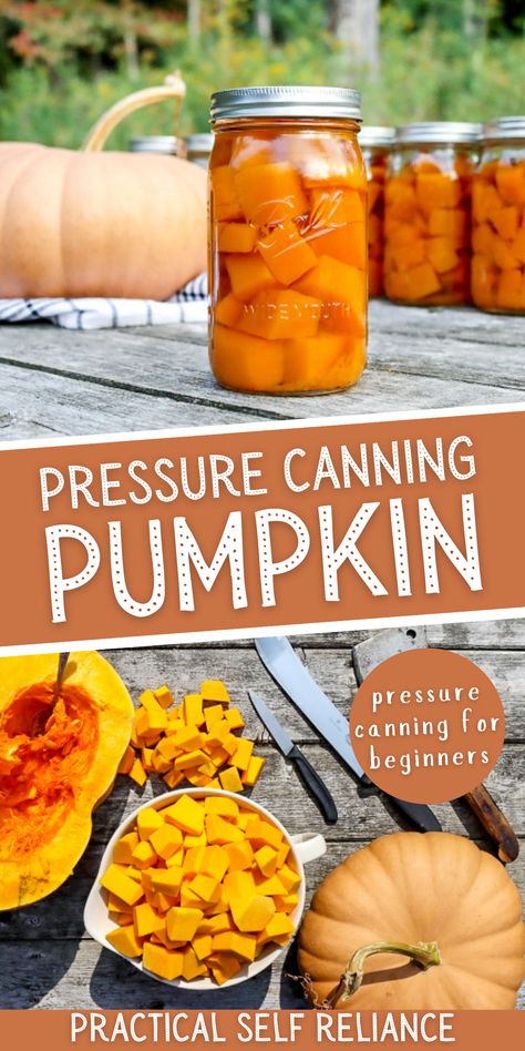 Gardening, Diy, Canning Recipes, Freeze, Food Storage, Canning Pumpkin Recipe, Canning Pressure Cooker, Canning Pumpkin Puree, Canning Tips