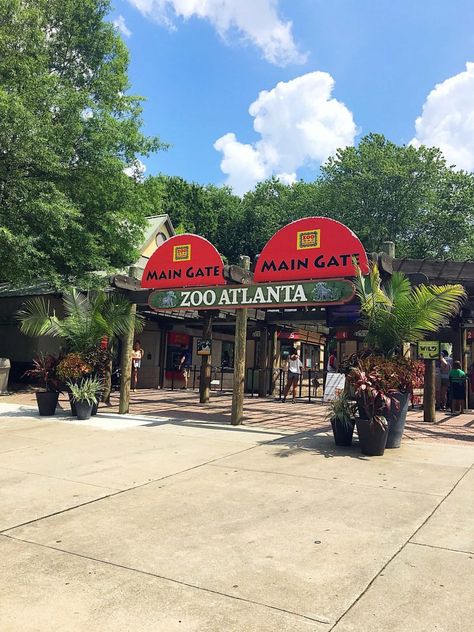 Heading to Zoo Atlanta? Then check out my Smart Tips for Visiting Zoo Atlanta with helpful tips like the best time to visit, ways to save money on tickets, parking tips, and more!  #zooatlanta #atlantageorgia #familyvacation Trips, Atlanta, Atlanta Zoo, Atlanta Georgia, Atlanta Ga, Chicago Travel, Chicago Restaurants, Vacation Packing, Georgia
