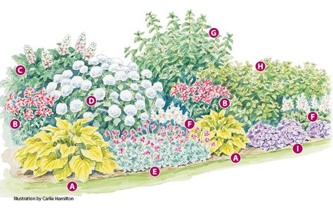 Floral, Exterior, Outdoor, Gardening, Perennial Garden Plans, Perennial Garden, Planting Plan, Flower Garden Plans, Flower Bed Designs
