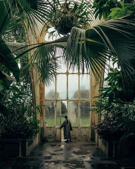 Alixe Lay on Instagram: “Kew Gardens, January 2020.” Kew Gardens London, Kew Gardens, Beautiful Places, Gorgeous Gardens, Kew, Winfield, Botanical Gardens, Visual, Vert