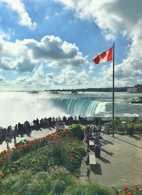 Trips, Canada, Tours, Boat Tours, Niagara Falls Canada, Toronto Canada, Niagara Falls Pictures, Canada Trip, Places To Go