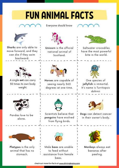 Fun Facts for Kids | 30+ facts for kids - Every kid should know Reading, English, Ideas, Animal Facts For Kids, Crazy Animal Facts, Animal Facts, Fun Facts About Animals, Animal Quiz, Facts About Animals