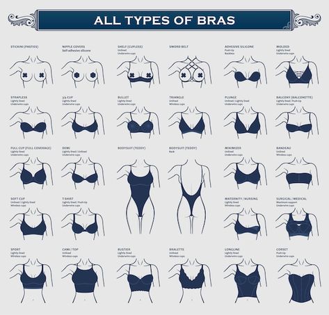 Underwear Types, Types Of Bra, Bra Underwear, Fashion Drawing, Womens Underwear, Clothes Design, Underwear, Fashion Infographic, Model