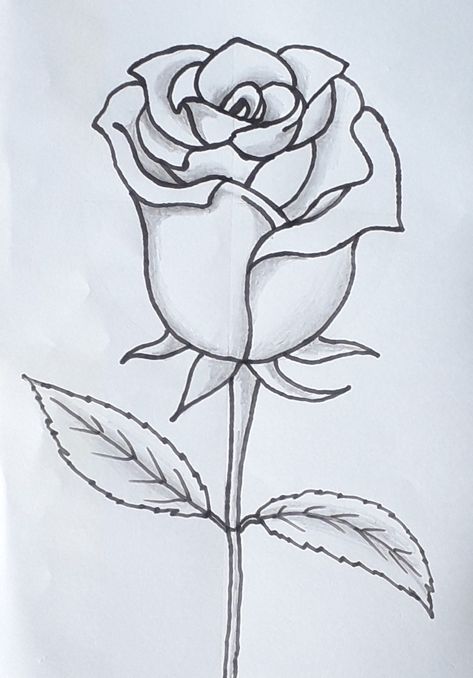 Como desenhar uma Rosa passo a passo #rosa #desenhodeflores #flor #flores Draw, Colouring Pages, Art Drawings, Art, Doodle, Coracao Desenho, Drawings, Easy Drawings, Roses Drawing