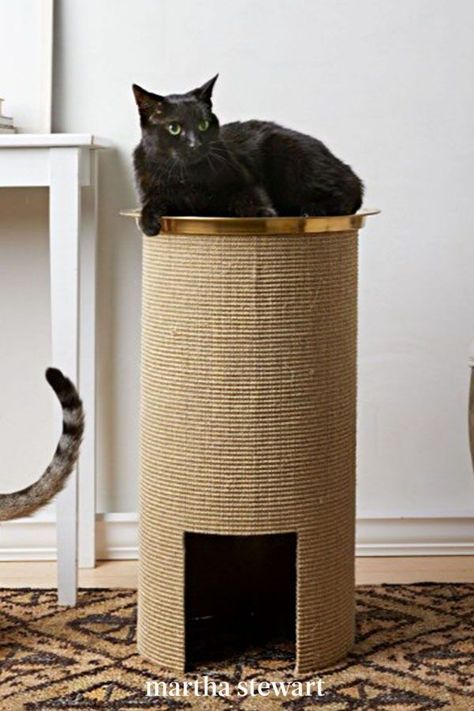 This DIY scratching post doubles as a perch for your cat. At home, outfit an oversized cardboard tube with sisal, and top it off with a sheepskin-lined tray. The textured surface is great for scratching while the indoor/outdoor nooks are a prime spot for napping. #marthastewart #pets #diypets #petbeds #petfurniture #diyprojects Diy, Outdoor, Diy Cat Scratching Post, Diy Cat Scratcher, Cat Scratching Post, Diy Cat Toys, Pet Furniture, Cat Fence, Scratching Post