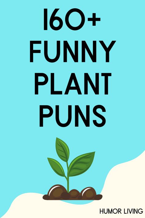 Plants are an essential part of Earth. They provide oxygen, food, shelter, and medicine. Read the funniest plant puns for a good laugh. Terrariums, Humour, Teacher Appreciation, Ideas, Funny Quotes, Happy, Humor, Jds, Puns