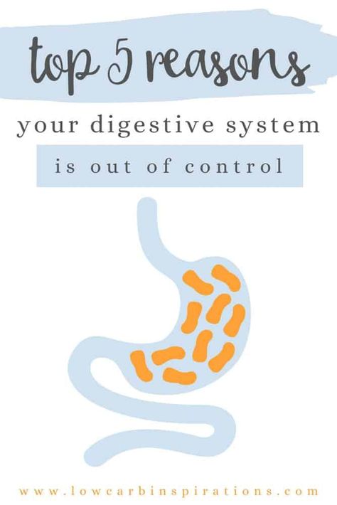 Top 5 Reasons Your Digestive System is Out of Control and What To Do About It Low Carb Recipes, Nutrition, Leaky Gut, Digestive Health, Digestive Issue, Digestion Problems, Digestive Health Recipes, Digestive System, Help Digestion