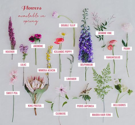 Spring Flower Guide - see what flowers you love are available in Spring! Deco Floral, Arte Floral, Trendy Flowers, Seasonal Flowers, Tulip Bouquet, Flowers Bouquet, Diy Flowers, Flowers Decoration, Diy Bouquet