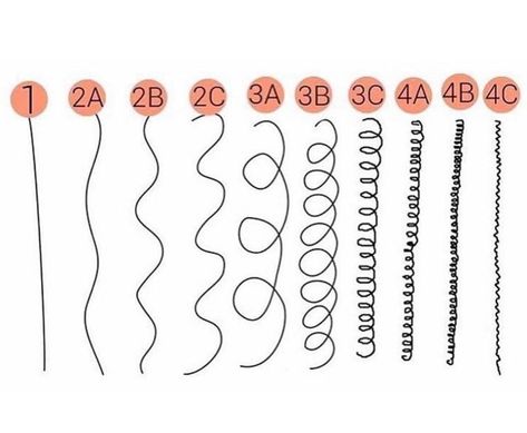 Types Of Curls, Curl Type Chart, Hair Chart, Hair Type Chart, Different Curls, Curl Pattern Chart, Curl Pattern, Different Hair Types, Hair Texture Chart