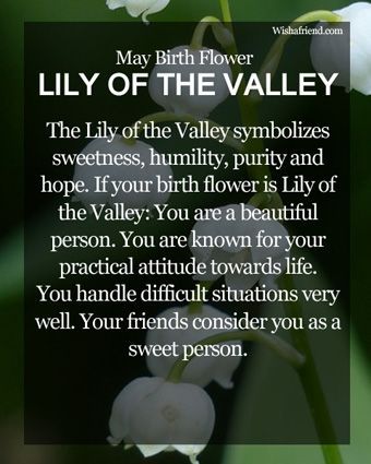 Lily of the Valley is May's birth flower. Description from pinterest.com. I searched for this on bing.com/images Inspirational Quotes, Taurus, Gemini, Sayings, Meant To Be, Lily Of The Valley, Words Of Wisdom, May, May Birth Flowers