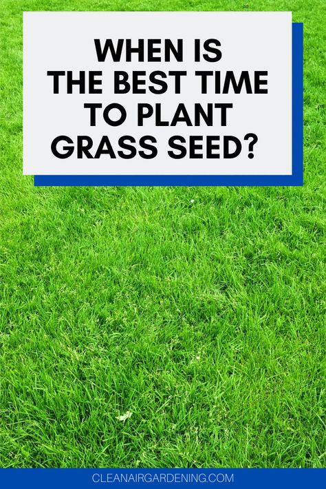 Compost, Planting Grass Seed, Best Grass Seed Lawn, Grow Grass Fast, How To Plant Grass, Growing Greens, Best Grass Seed, How To Grow Grass, Grass Seed For Shade