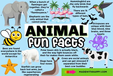 Discover fascinating and fun facts for kids that will spark curiosity and make learning a blast. Explore a world of knowledge right here! Animals, Animal Facts For Kids, Animal Facts, Bear Facts For Kids, Fun Facts For Kids, Fun Games, Activities, Facts For Kids, Fun Facts