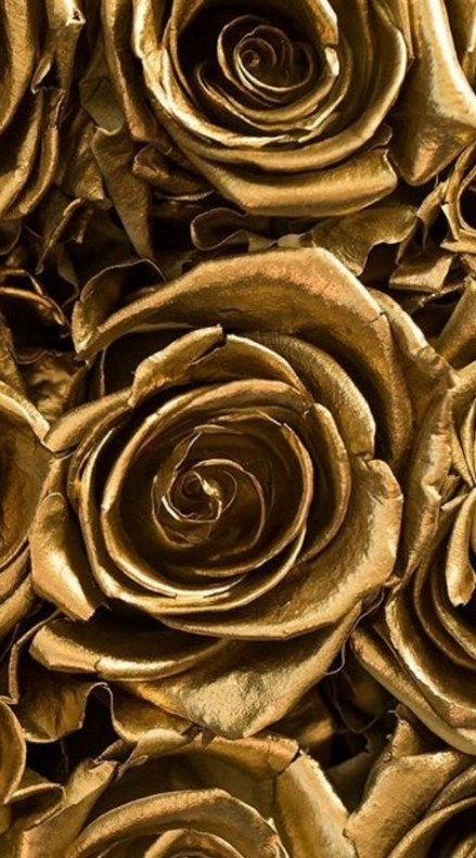 Black And Gold Aesthetic, Gold Aesthetic, Gold Wallpaper, Aesthetic Wallpapers, Golden Rose, Aesthetic Pictures, Floral Wallpaper, Golden, Gold Everything