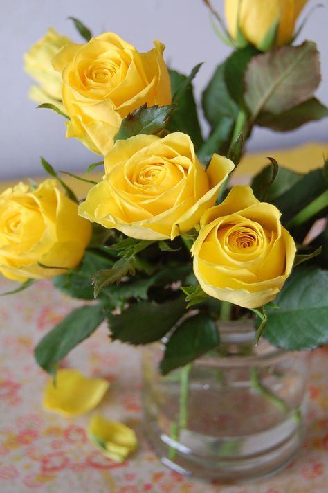 Yellow roses add a pop of color! This is a great example of a few stems making a big statement! Shop roses in a variety of lengths and colors year-round at GrowersBox.com! Beautiful, Rosas, Hoa, Flores, Beautiful Roses, Geel, Bloemen, Rose, Pretty Flowers