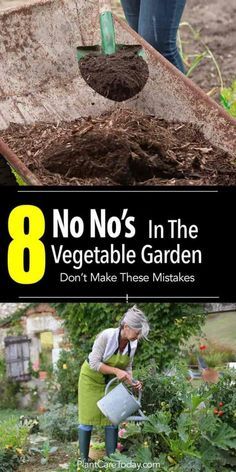 shoveling compost and senior woman watering the garden Compost, Organic Gardening, Gardening, Vegetable Garden, Container Gardening, Garden Types, Home Vegetable Garden, Garden Veggies, Vegetable Garden Planner