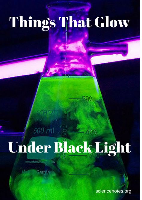 30+ Things That Glow Under Black Light Halloween, Glow, Prom, Neon, Glow Party, Lights, Ideas, Parties, Glow In The Dark
