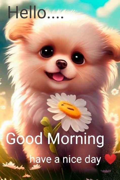 Kawaii, Dieren, Cute Good Morning, Gifs, Cute Good Morning Images, Buongiorno, Bonjour, Emojis, Ava