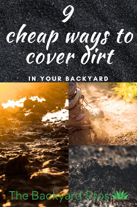 9 Cheap Ways to Cover Dirt in Backyard - Fix up your yard today by using these 9 critical tips on thebackyardpros.com Gardening, Cover Dirt Backyard Ideas Cheap, No Grass Backyard, Yard Improvement Ideas, Backyard Swings, Cheap Backyard Makeover Ideas, Backyard Walkway, Backyard Refresh, Backyard Sitting Areas