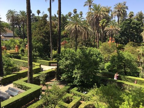 This Spanish palace makes up for Dorne's plotline in "Game of Thrones." Plants, Outdoor, Gardens, Gardening, Game Of Thrones, Garden, Vineyard, Farmland, Sidewalk