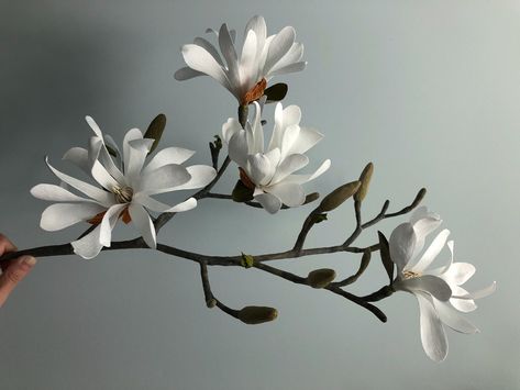 Star Magnolia Branch Floral, Hoa, Flowers Photography, Magnolia Branch, Flower Field, Flowers Nature, Hybrid Tea Roses, White Peonies, Bunga