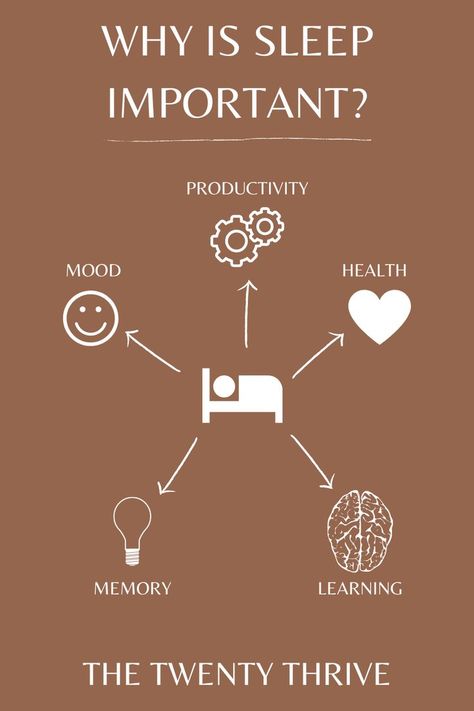 Why Is Sleep Important, Stages Of Sleep, How Are You Feeling, Healthy Sleep Habits, Circadian Rhythm, Good Sleep, Improve Nutrition, Healthy Sleep, Trying To Sleep