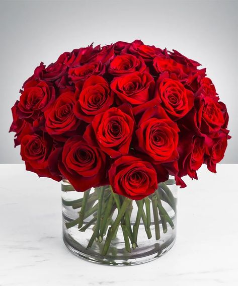 A perfect mound of red roses for the one you love is truly unforgettable. #MaryMurraysFlowers Send Flowers, Same Day Flower Delivery, Red Roses, Dozen Red Roses, Flower Delivery, Beautiful Flowers, Florist, Flower Arrangements, Flores
