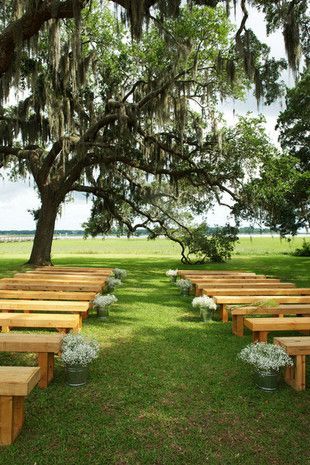 Wooden benches for the ceremony Decoration, Outdoor Wedding Ceremony, Pavilion Wedding, Garden Weddings Ceremony, Ceremony Seating, Outside Wedding Ceremonies, Wedding Bench, Backyard Wedding Ceremony, Outside Wedding