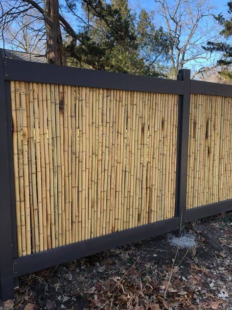 Outdoor, Bamboo Privacy Fence, Bamboo Screen Fence, Bamboo Screening Fence, Privacy Fence Designs, Fence Panels, Bamboo Fence, Garden Fence Panels, Bamboo Garden Fences