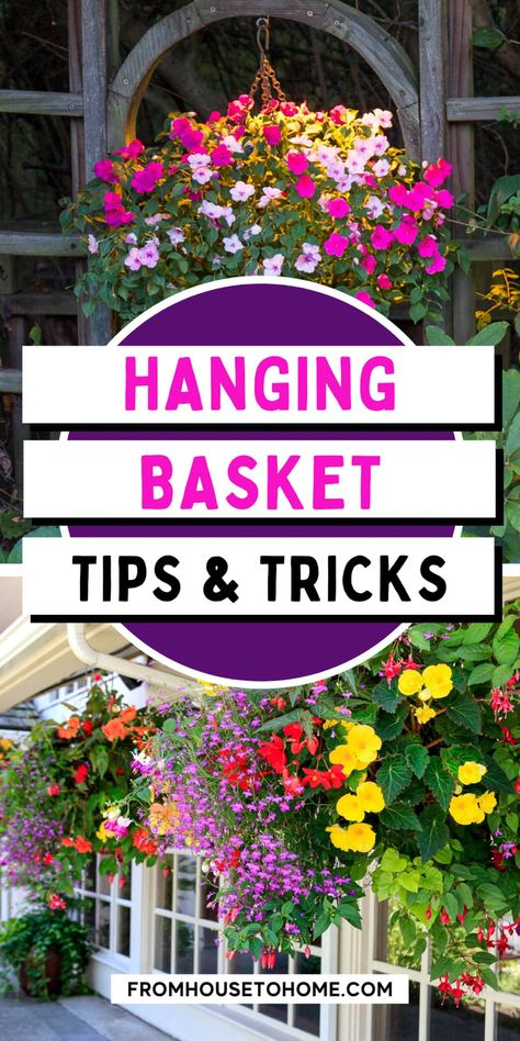 Brunch, Inspiration, Shaded Garden, Decoration, Home Décor, Plants For Hanging Baskets, Hanging Planters Outdoor, Hanging Basket Garden, Container Gardening Flowers
