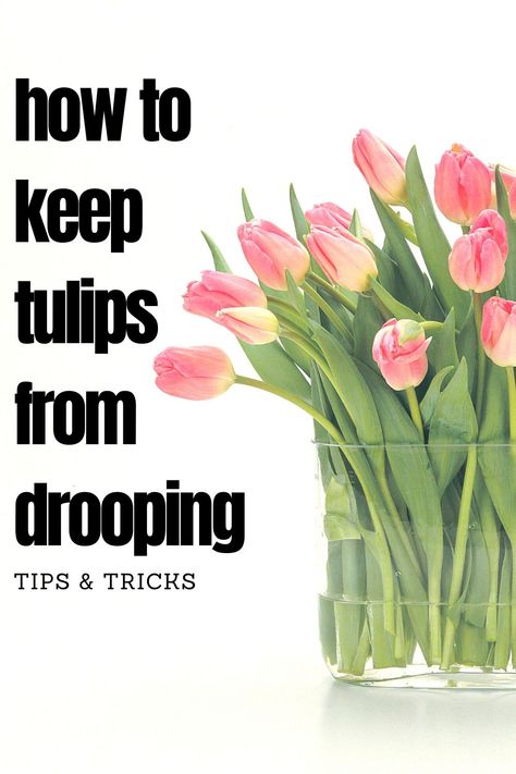 Valentine's Day, Outdoor, Bouquets, Ideas, Gardening, Nature, Growing Tulips, Spring Flower Arrangements, Spring Flower Arrangements Diy