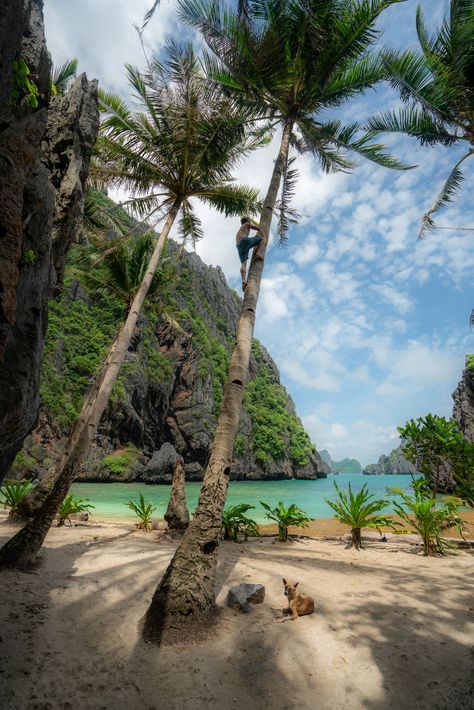 best things to do el nido Asia Travel, El Nido, Palawan, Palawan, Travel Photography, Travel Inspo, Trip, Cool Places To Visit, Voyage, Philippines Travel