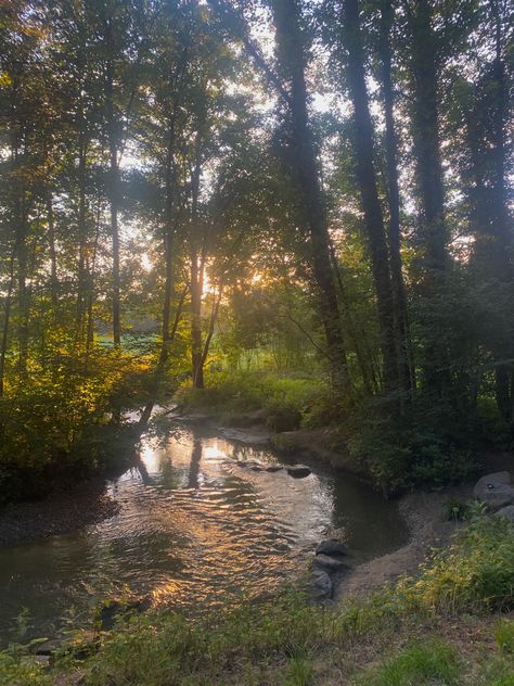 love taking a walk through the forest and just being able to take a moment to enjoy this view<3 Nature, Summer, Outdoor, Inspiration, Green Cottagecore Aesthetic, Forestcore Aesthetic, Aesthetic Cottagecore, Naturecore Aesthetic, Cottagecore Aesthetic