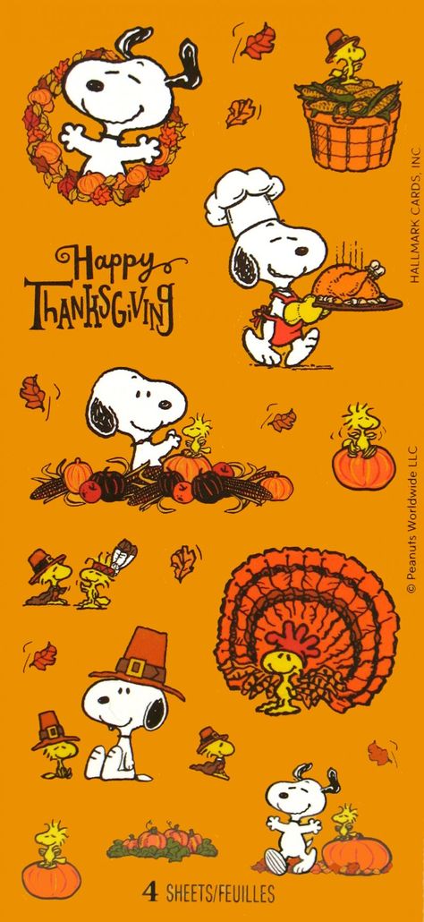 Disney, Snoopy, Thanksgiving, Halloween, Thanksgiving Snoopy, Peanuts Cartoon, Peanuts Thanksgiving, Snoopy And Woodstock, Thanksgiving Iphone Wallpaper