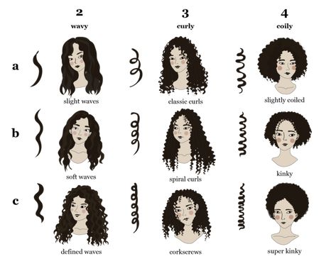 Know Thy Curl Type: Not All Curls Are the Same. | by Miche | Medium Balayage, Curl Type Chart, Types Of Curls, Curl Types, Curl Pattern Chart, Curl Pattern, Hair Type Chart, Hair Chart, Types Of Waves