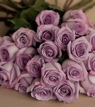 sterling silver roses Floral, Hochzeit, Hoa, Pretty Flowers, Mor, Bouquet, Rose, Bloemen, Gerberas