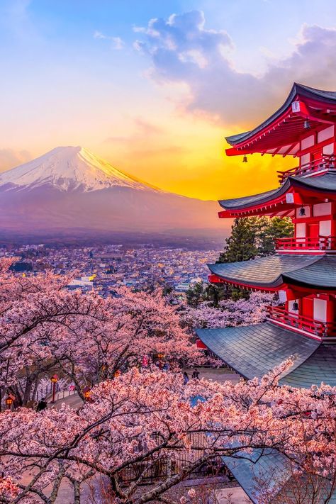 Tokyo Japan, Tokyo, Japan Travel, Tokyo Japan Travel, Japan Landscape, Japan Aesthetic, Pagoda, Japan Picture, Aesthetic Japan