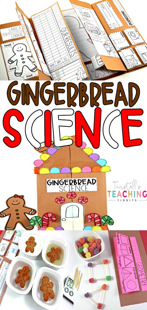 Pre K, Humour, Ps4, Gingerbread Activities Preschool, Gingerbread Man Unit, Gingerbread Unit, Gingerbread Man Activities, Gingerbread Activities, Christmas Stem