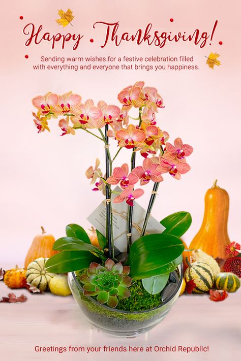 Wishes of a beautiful and blissful Thanksgiving from Orchid Republic! Art, Thanksgiving, Happy Thanksgiving, Thanksgiving Feast, Pumpkin Floral Arrangements, Fall Floral, Same Day Flower Delivery, Fall Flowers, Fall Floral Centerpieces