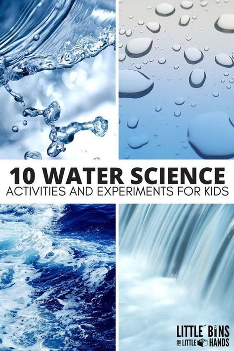 Science Experiments, Pre K, Water Science Experiments, Water Experiments For Kids, Water Activities, Water Experiments, Science Experiments Kids, Water Kids, Water Cycle