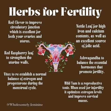 Fitness, Fertility Spells, Fertility Boosters, Fertility Boost, Herbs For Fertility, Fertility Vitamins, Fertility Health, Natural Fertility Boosters, Herbs For Health