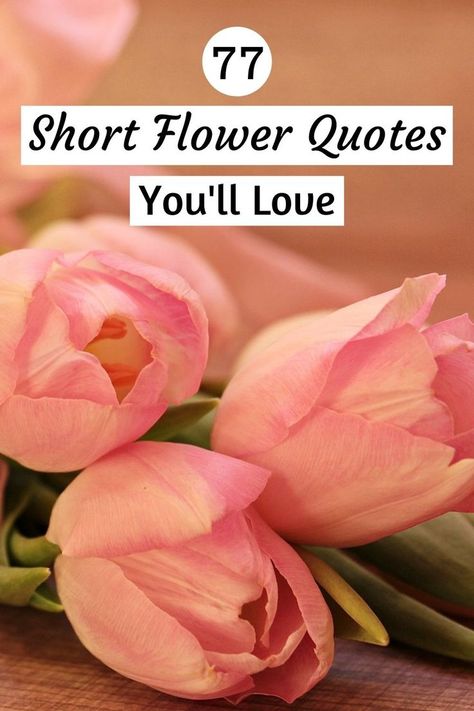 Short Flower Quotes