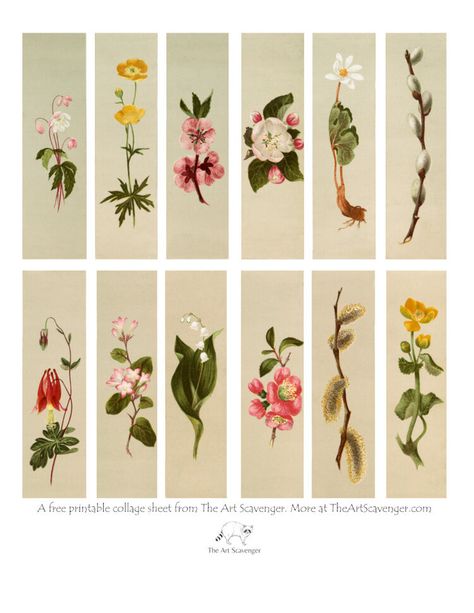 Free Printable Flower Collage Sheet — The Art Scavenger Collage, Bookmark Printing, Printable Flower, Bookmarks Print Free Printable, Bookmarks Printable, Printable Bookmarks, Flower Bookmark, Bookmark Craft, Flower Cards