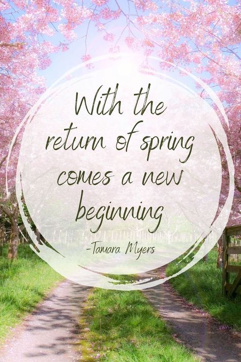 125+ Beautiful Spring Quotes That Are Perfect For Spring Renewal - RV Camping & Adventure Motor Home Camping, Motivation, Spring Inspirational Quotes, Spring Quotes, Springtime Quotes, Quotes About Spring, Spring Sayings, Spring Qoutes, Spring Is Here