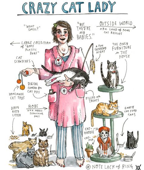 Wendy MacNaughton: Crazy Cat Lady annotated illustration Katt Diy, Katt Grejer, Homemade Cat Toys, Koci Humor, Lady Cat, Homemade Cat, Cat Hoodie, Cat Quotes, Crazy Cat