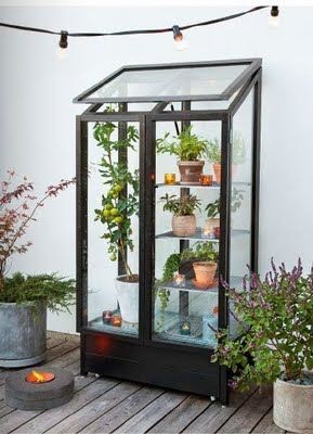 hieno kasvikaappi Tuin, Plant Life, Bunga, Garten, Dekorasyon, Pergola, Garden Furniture, Small Greenhouse, Mini Greenhouse