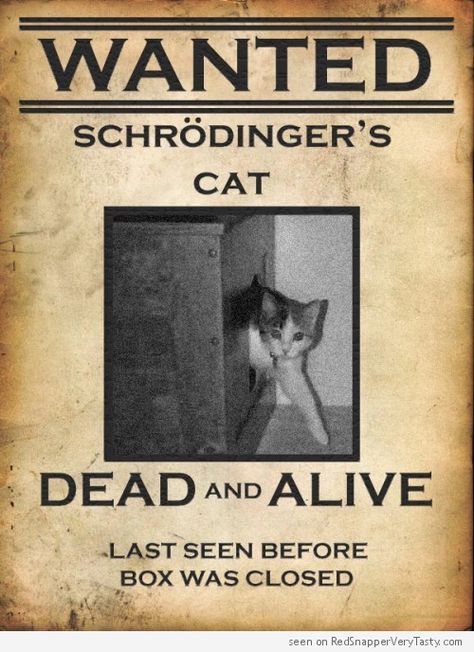 WANTED Schrödinger's cat - Dead and Alive #catoftheday Physics Jokes, Humour Geek, Physics Humor, Nerdy Jokes, Physics Memes, Schrödinger's Cat, Schrodingers Cat, Nerd Jokes, Science Memes