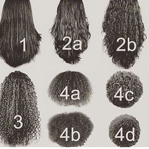 Curl Patterns. The hair is probably all the same length, but shrinkage is  happening Hair Styles, Hair Hacks, Gaya Rambut, Curly Hair Care, Haar, Curly Hair Routine, Curly Hair Styles Naturally, Curly Hair Styles, Hair Type