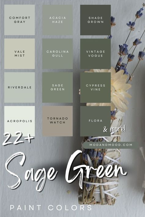 22+ Sage Green paint colors with thumbnails from 12 of the colors over a background of a sage flower bundle Design, Decoration, Dekorasyon, Inspo, Paleta De Colores, Tips, Dekorasi Rumah, Dekoration, Deco