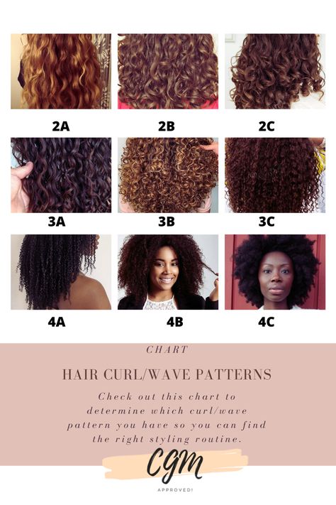Glow, Curl Type Chart, Curl Types Chart, Types Of Curls, Hair Level Chart, Curl Types, Natural Hair Type Chart, Curl Pattern Chart, Hair Type Chart